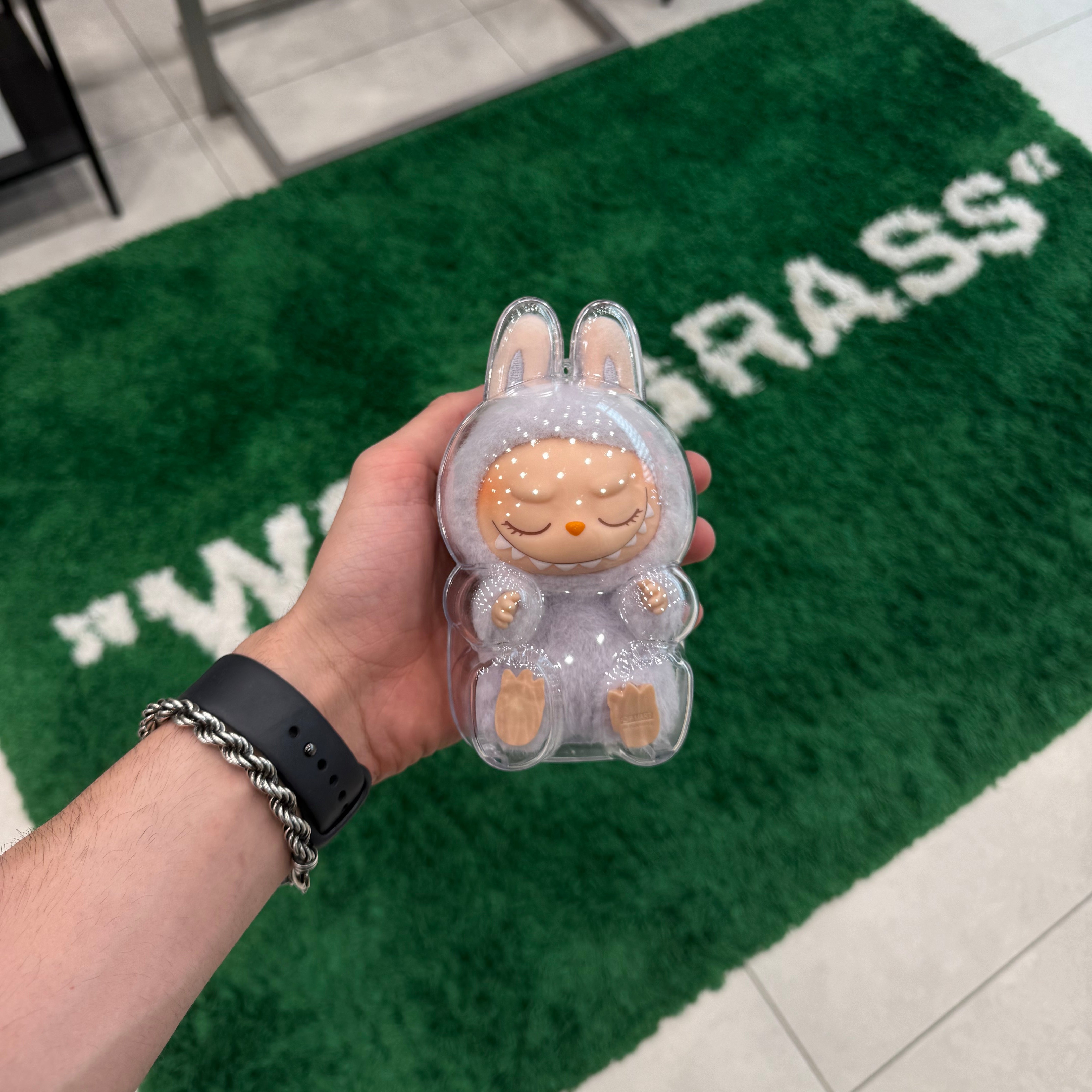 LABUBU PROTECTIVE CASE TRANSPARENT