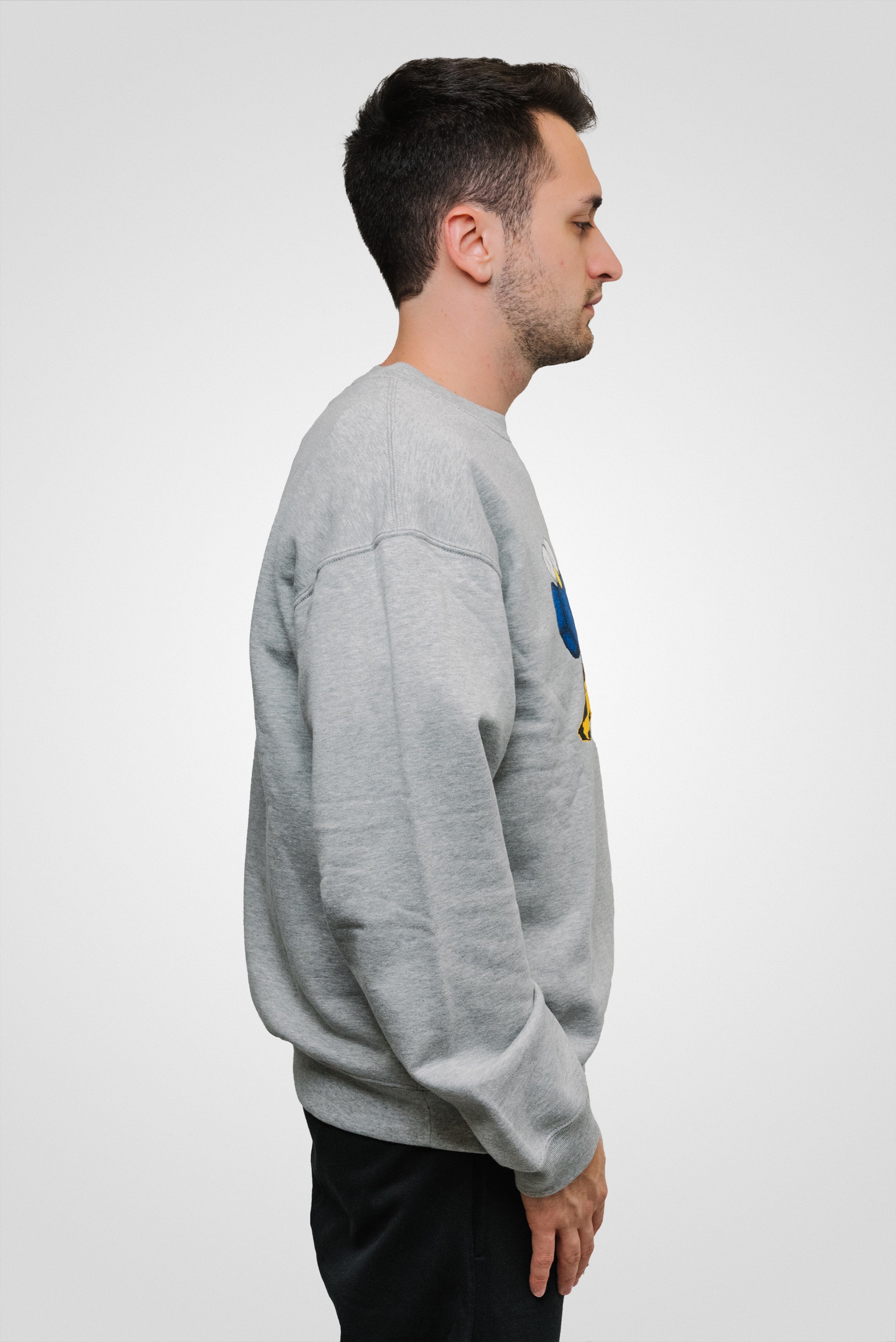 KAWS x Uniqlo Warhol UT Graphic Hoodie Grey/blue