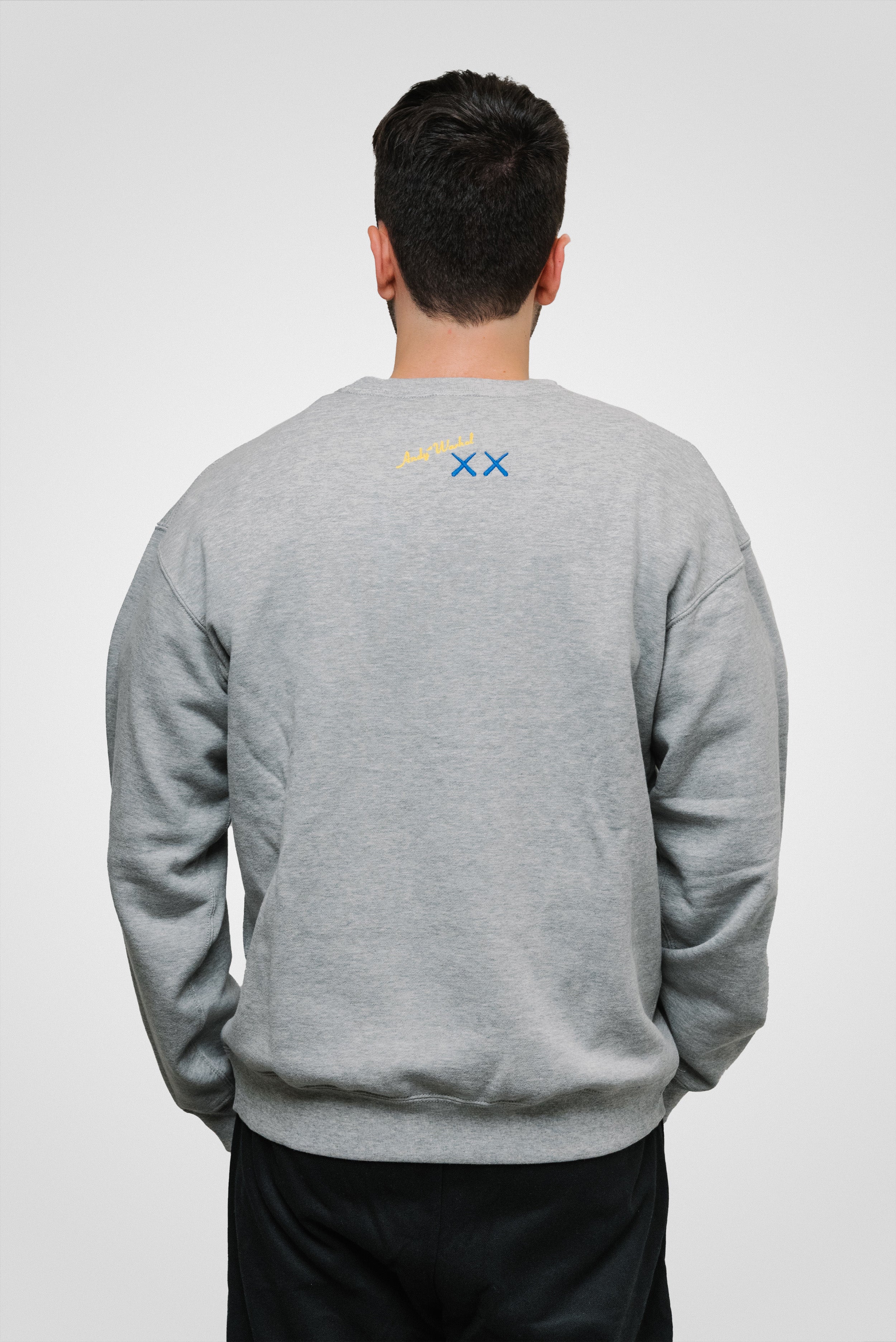 KAWS x Uniqlo Warhol UT Graphic Hoodie Grey/blue