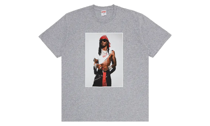 SUPREME PHOTO TEE GREY