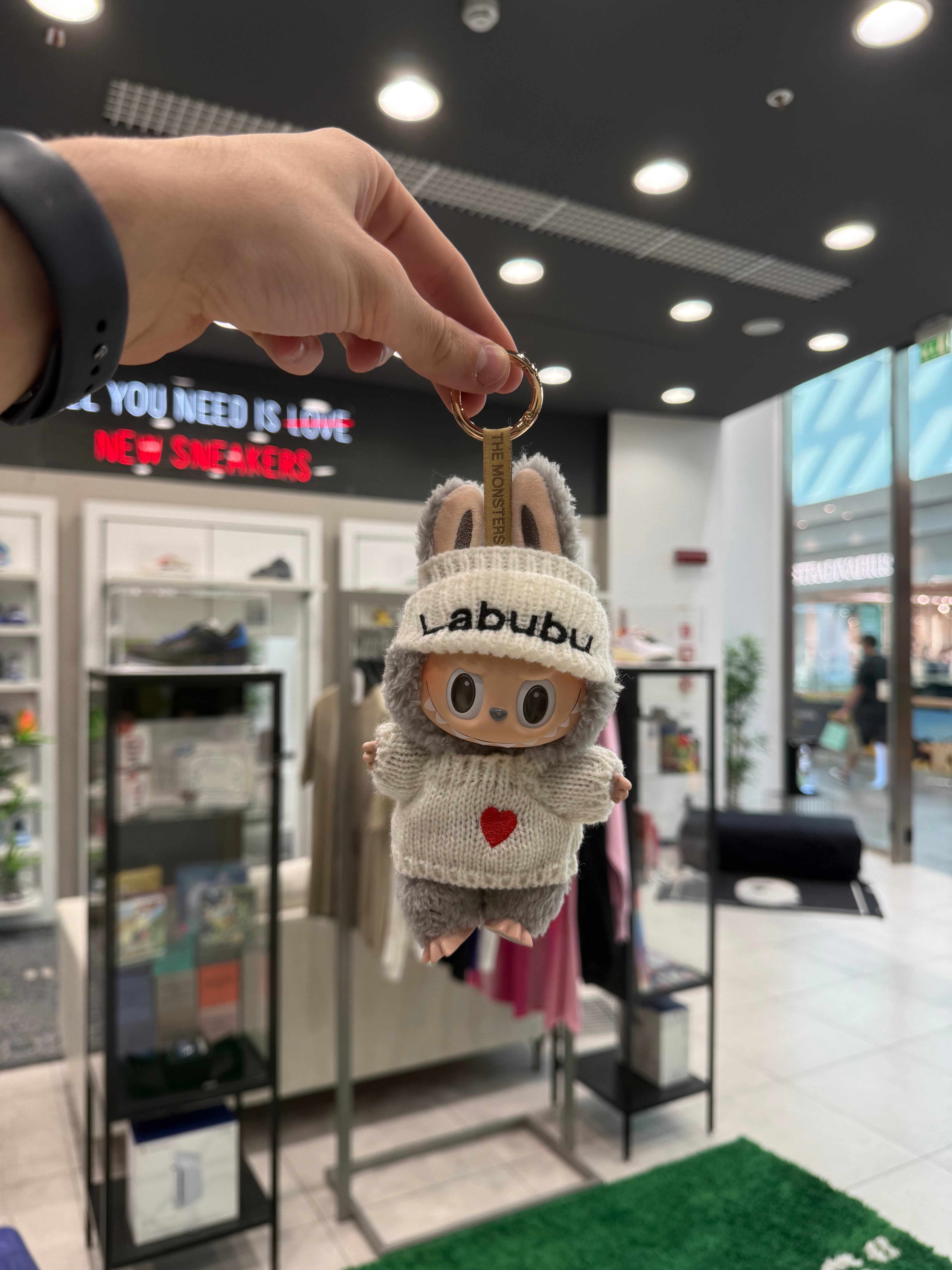 LABUBU THE MONSTERS HAVE A SEAT DUODUO (Secret Version
