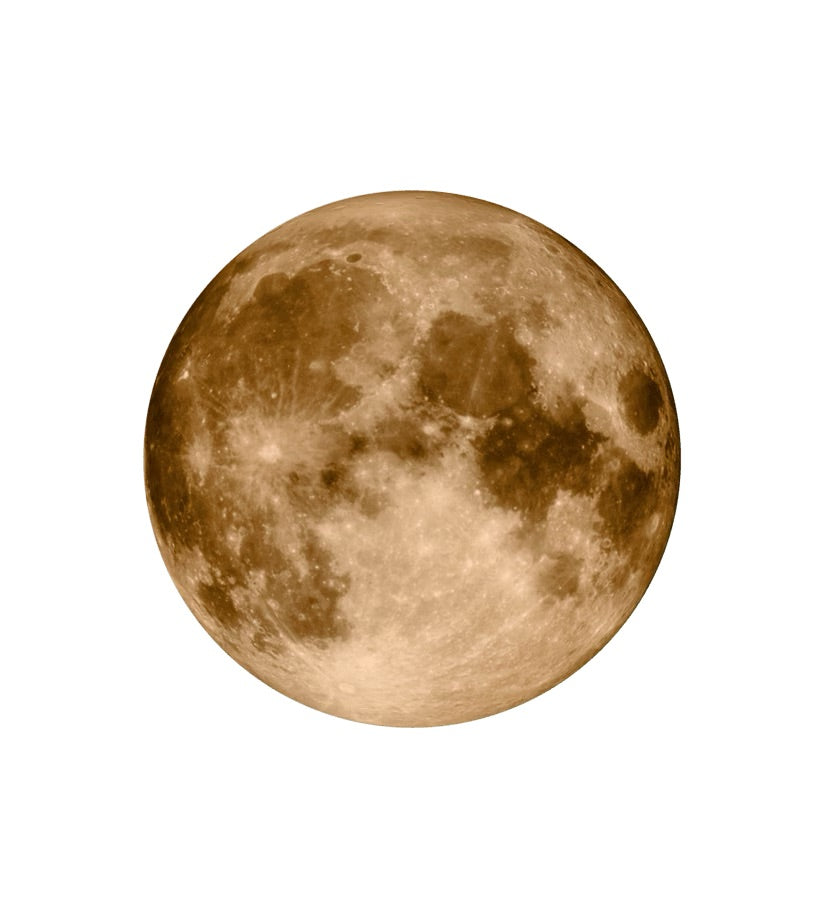 Swatch x Omega Bioceramic Moonswatch Mission To Moonshine Or 